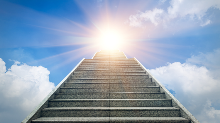 Sementes das Estrelas, Trabalhadores de Luz, e Mostradores do Caminho