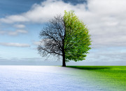 Terapia Multidimensional